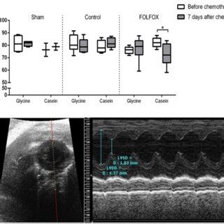 lvef fraction chemotherapy